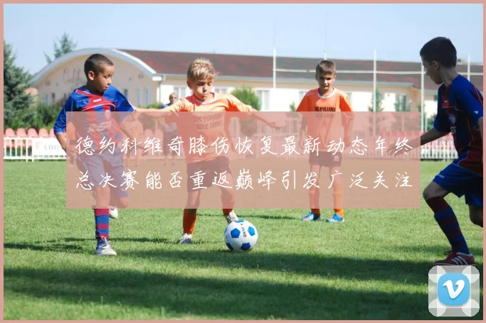 德约科维奇膝伤恢复最新动态年终总决赛能否重返巅峰引发广泛关注