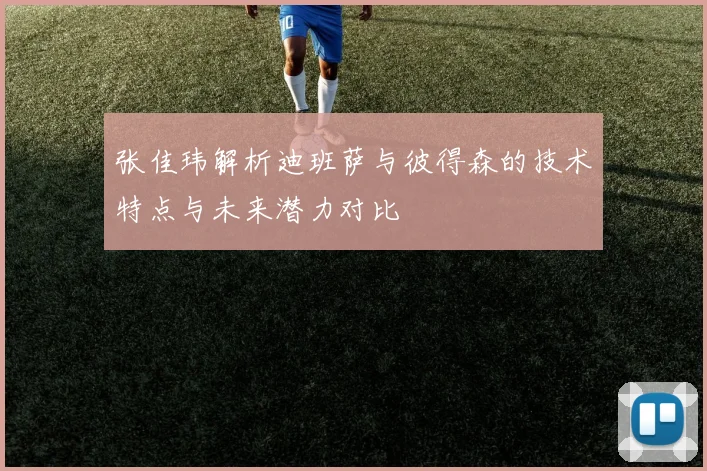 张佳玮解析迪班萨与彼得森的技术特点与未来潜力对比